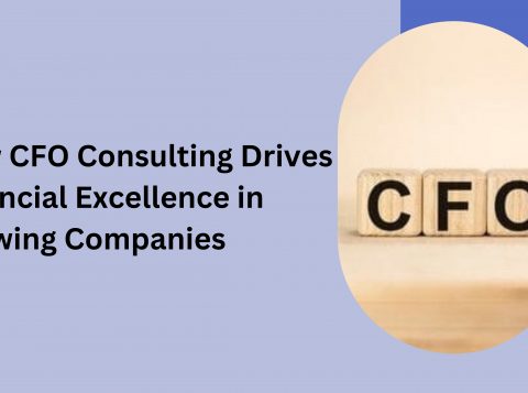 CFO consultant