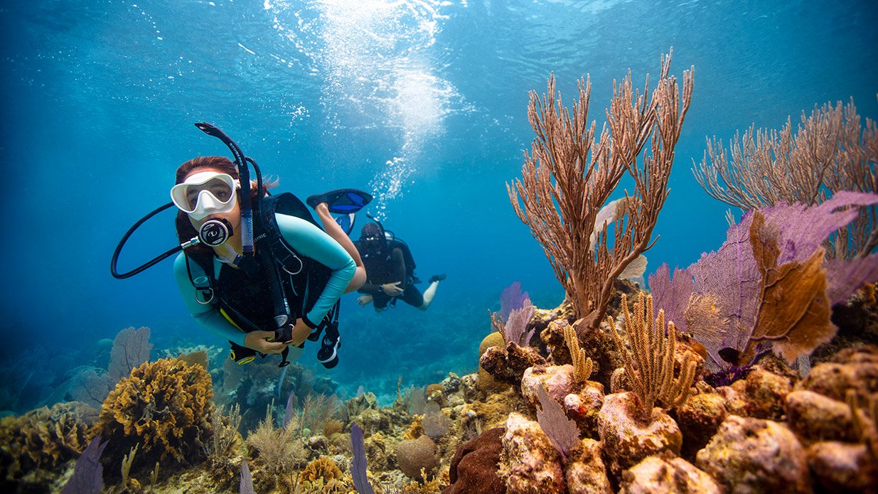 Diving in Lembeh – The Best Muck Diving Destination in Indonesia