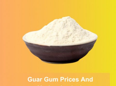 guar gum pricing trends