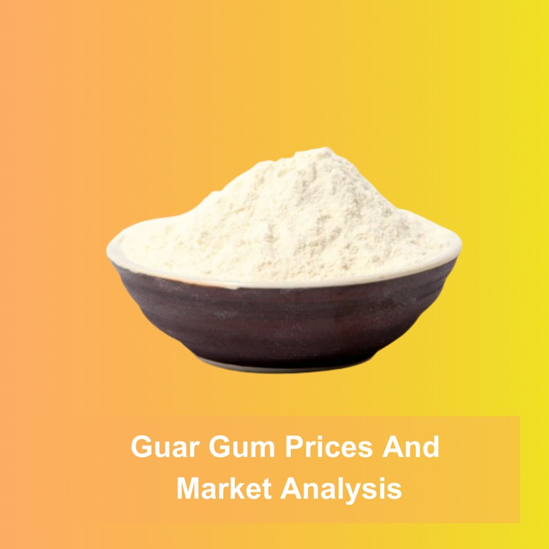 Guar Gum Price Dynamics in 2025: Key Insights for Business Leaders