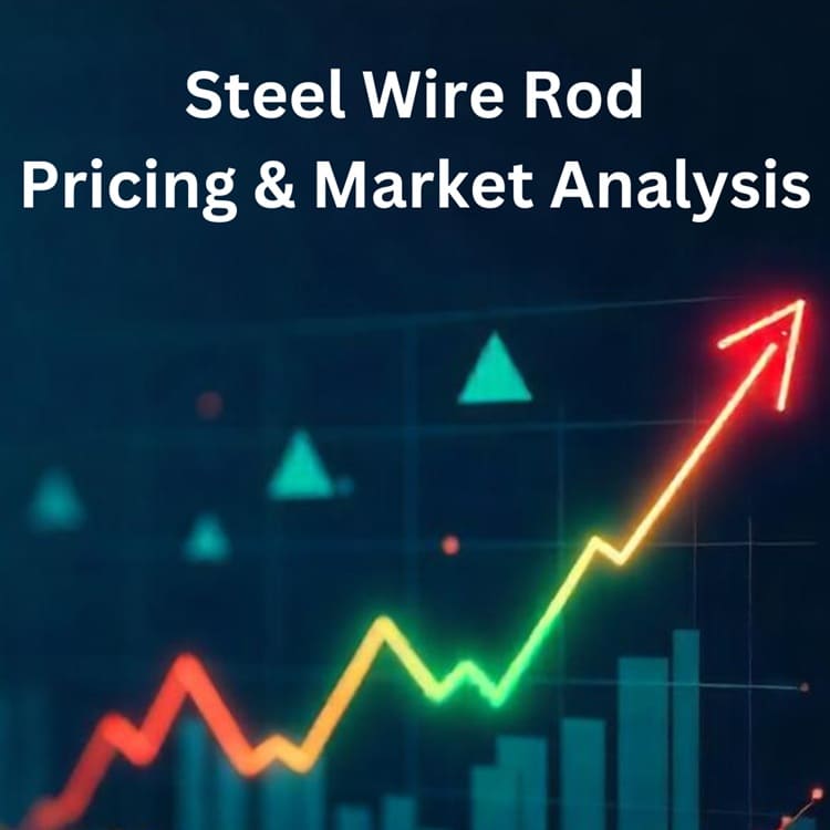 How the Steel Wire Rod Market Will Shape Up in 2025