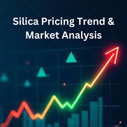 Silica Pricing Trend 2025